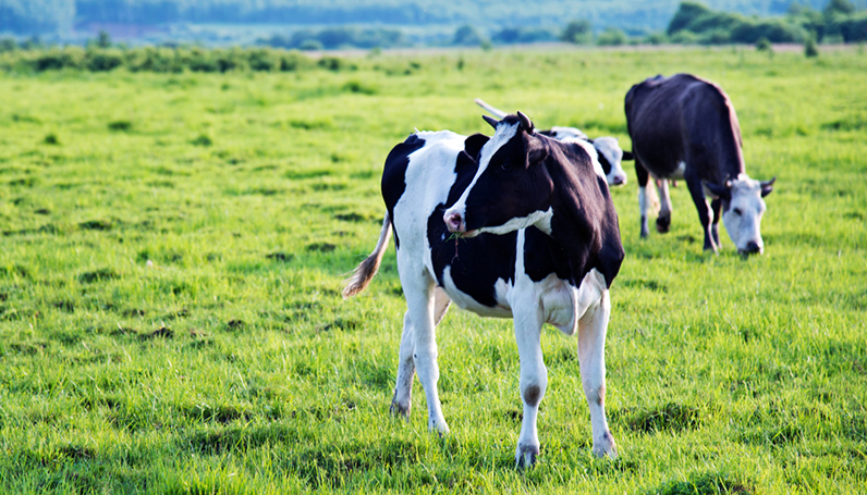 ��ɳ(8087-js��֤)�鳡��-Officialwebsite