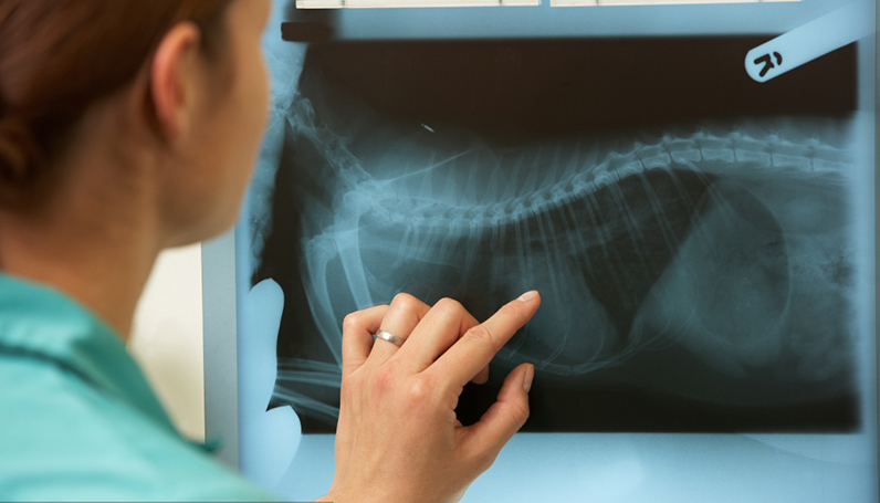 ��ɳ(8087-js��֤)�鳡��-Officialwebsite