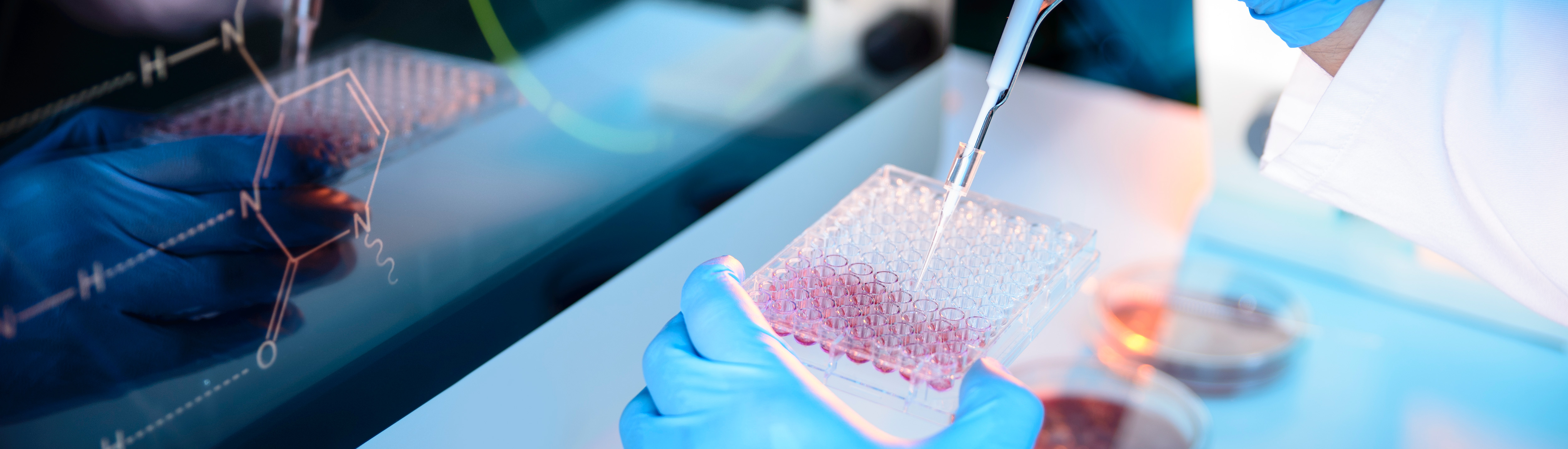 ��ɳ(8087-js��֤)�鳡��-Officialwebsite