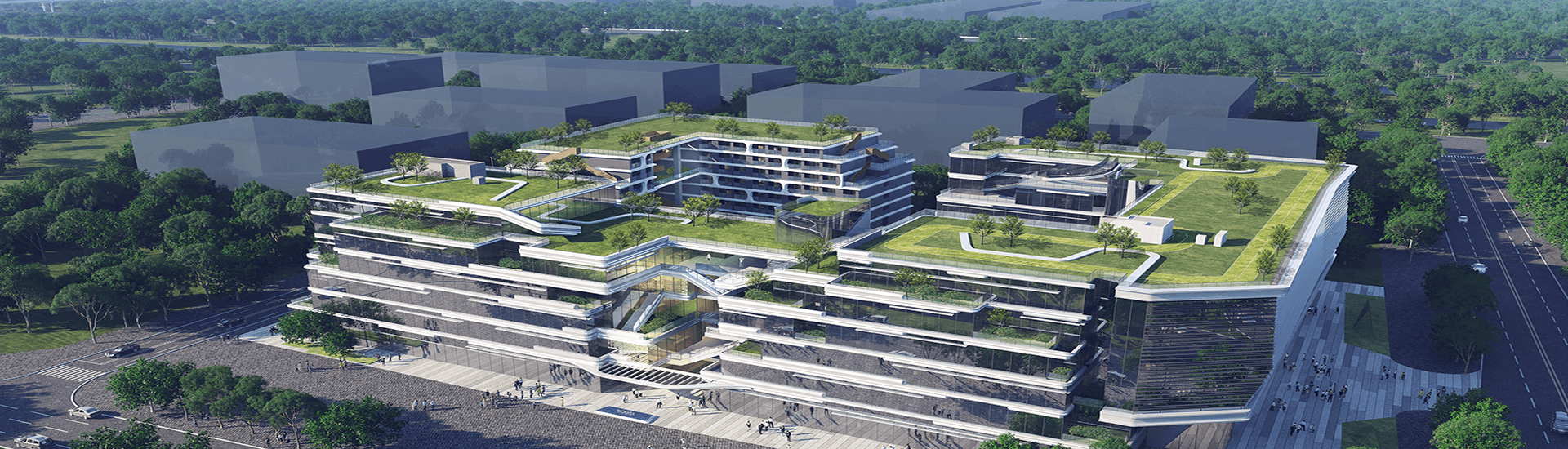 ��ɳ(8087-js��֤)�鳡��-Officialwebsite