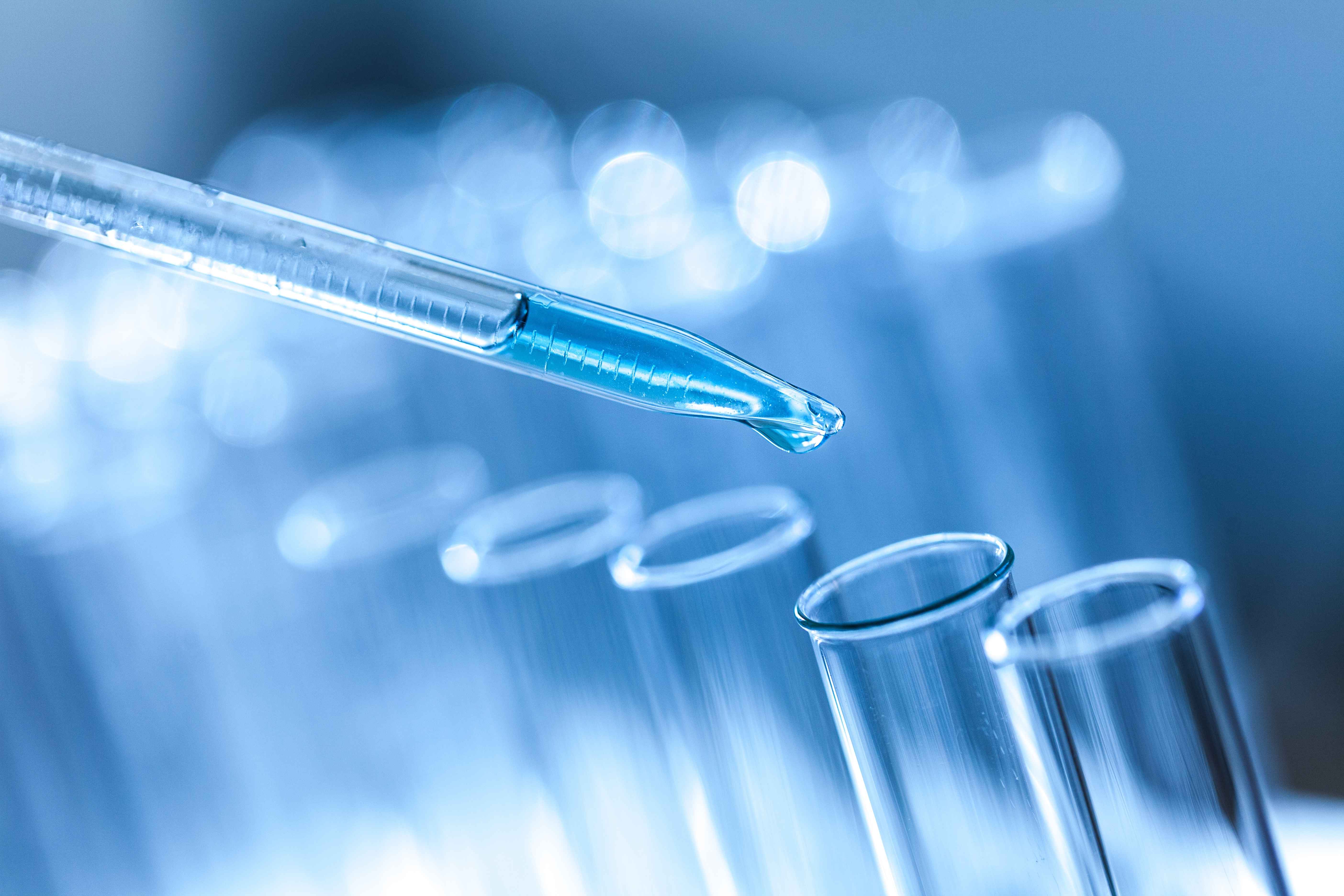 ��ɳ(8087-js��֤)�鳡��-Officialwebsite